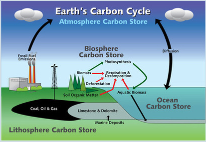Crash Course: Hydrologic and Carbon Cycles Guided Viewing Worksheet